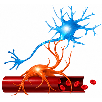 Complex Neurovascular Disorders